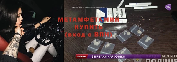 прущие грибы Верхний Тагил
