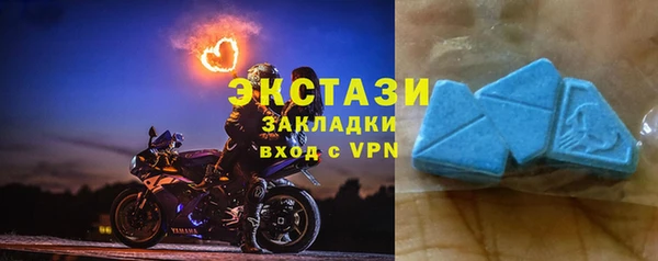 прущие грибы Верхний Тагил