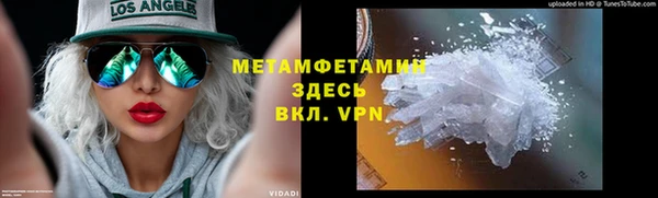 прущие грибы Верхний Тагил