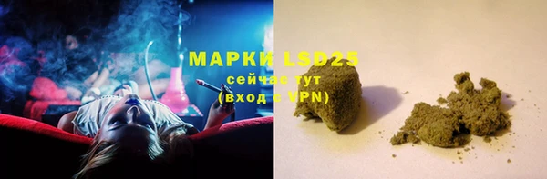 прущие грибы Верхний Тагил