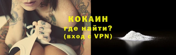 прущие грибы Верхний Тагил