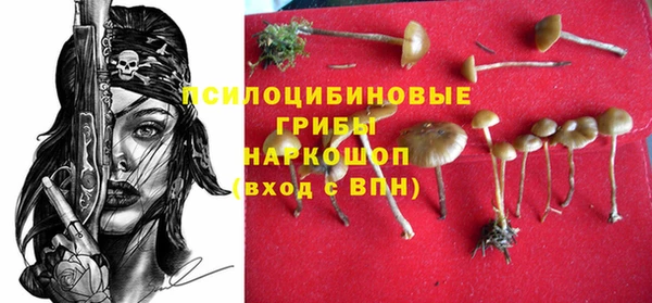 дурь Бородино