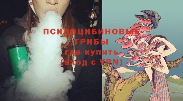 крисы Верея