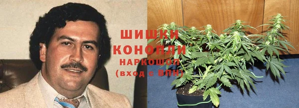крисы Верея