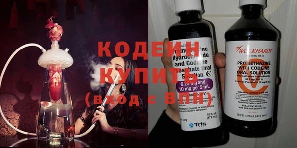 прущие грибы Верхний Тагил