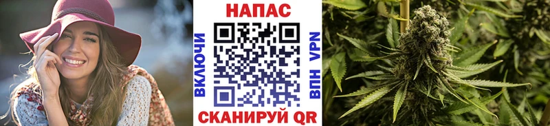 Каннабис VHQ  дарнет шоп  Грязи 